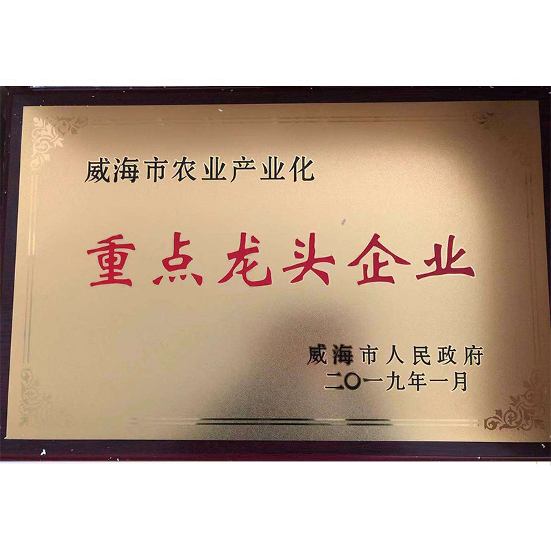 荣誉资质