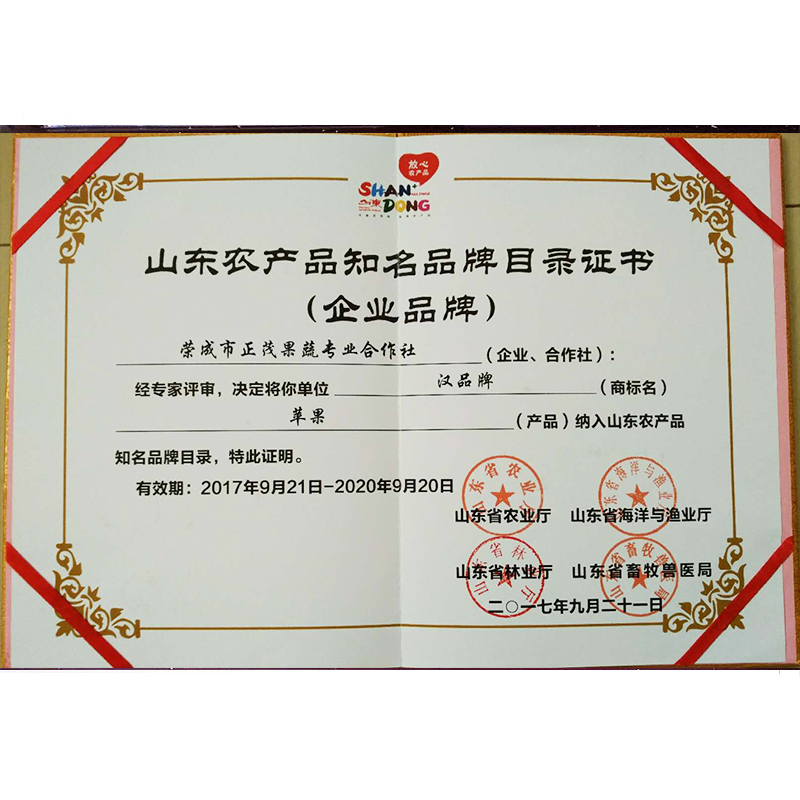 荣誉资质