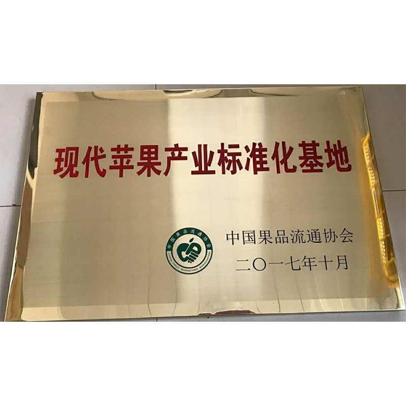 荣誉资质
