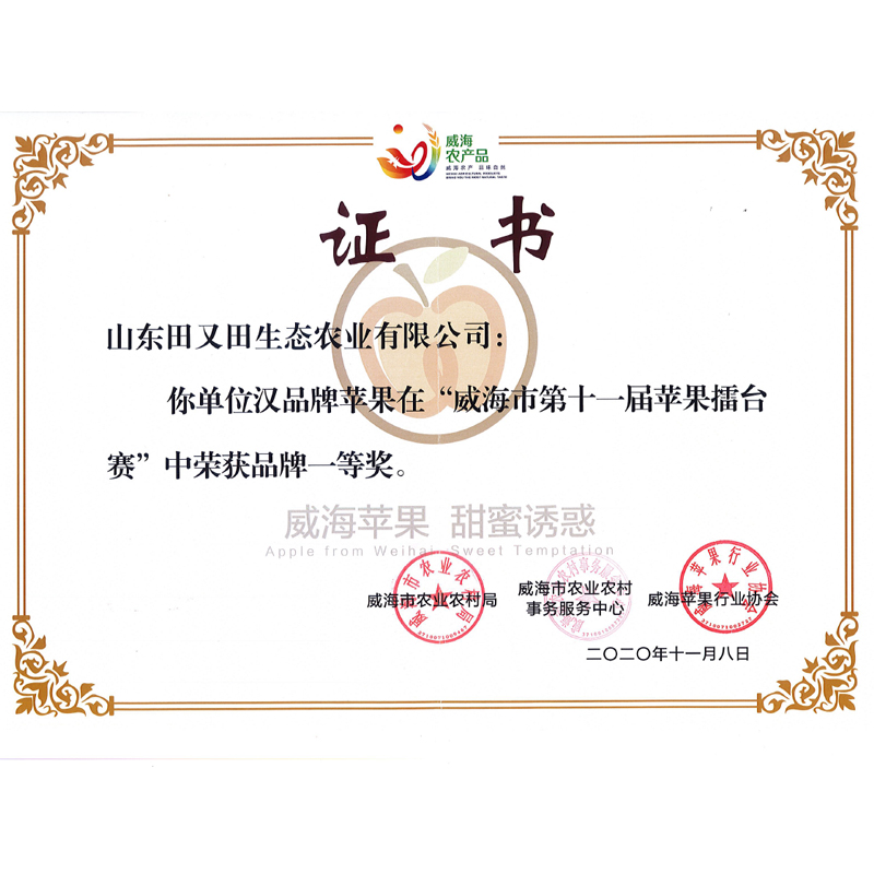 荣誉资质